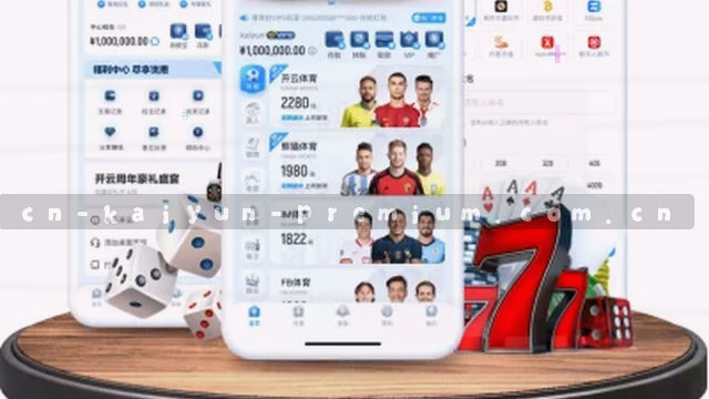 蓝标版新手引导体验